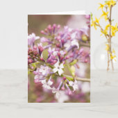 Foto von Frühlingsblüten von Lilac Karte (Gelbe Blume)