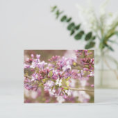 Foto von Frühlingsblüten von Lilac Postkarte (Stehend Vorderseite)