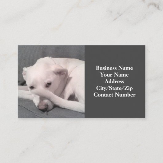 Foto von Funny White Dog mit Schwanz auf Gesicht G Visitenkarte (Vorderseite)