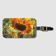 Foto von gelben und orangefarbenen Sonnenblumen