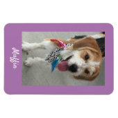 Foto von Haustier oder Kind & Name, Lavendel Magnet (Horizontal)