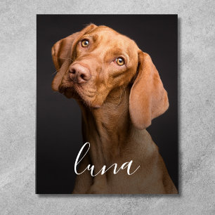 Foto von Hund mit Namen personalisiert  Leinwanddruck