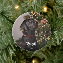 Foto von Hund mit Namens-Textüberlagerung Keramik Ornament