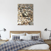 Foto von Killdeer Nest & Eggs auf der Leinwand (Insitu (Schlafzimmer))