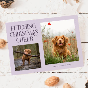 Foto von lila Hund, der Weihnachtsfreude bringt Feiertagskarte