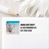 Foto von Muscheln am Sandstrand (Insitu)