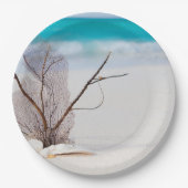 Foto von Muscheln am Sandstrand Pappteller (Vorderseite)