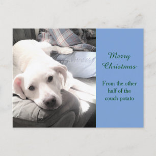 Foto von Niedlichem Lazy Labrador Mix und Vater Li Feiertagspostkarte
