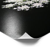 Foto von Queen Anne's Lace (Ecke)