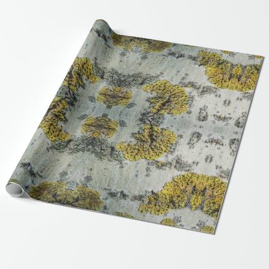 Foto von Real Aspen Tree Bark - Natural Amulet Geschenkpapier (Ungerollt)