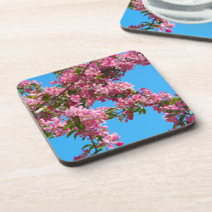 Foto von rosa Baumblüten und blauem Himmel Getränkeuntersetzer
