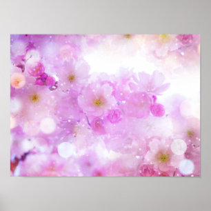 Foto von rosa Kirschblüten Poster
