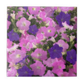 Foto von rosa und violetten Prunkwindenblumen Fliese (Vorderseite)