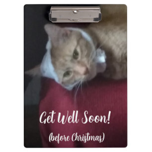 Foto von roter Katze Gute Besserung , Klemmbrett