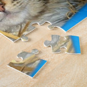 Foto von schlafender Katze Puzzle (Seite)