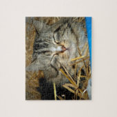 Foto von schlafender Katze Puzzle (Vertikal)