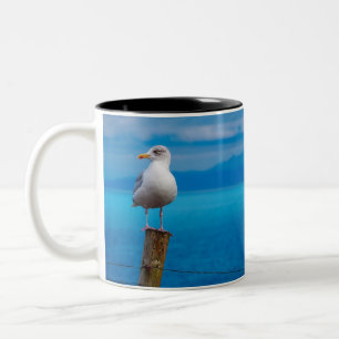 Foto von Seagull-Vogel stehend Zweifarbige Tasse