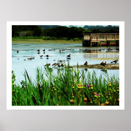 Foto von Seeszene mit Cattails Ducks Dock Poster (Vorne)