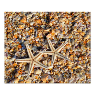 Foto von Starfish und Seashells