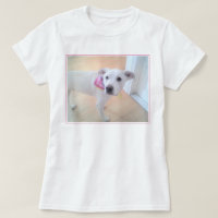 Foto von Welpen Hund mit süßem Gesichtsausdruck