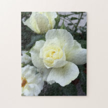 Foto von White Rose Garden