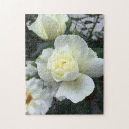 Foto von White Rose Garden Puzzle