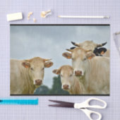 Foto von Zuchttieren Seidenpapier (Handwerk)