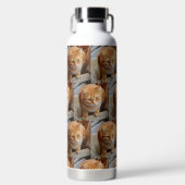 Foto Vorlage für den benutzerdefinierten Hund Katz Trinkflasche (Vorderseite)