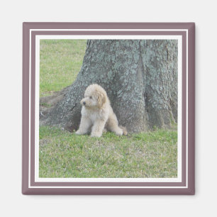 Foto-Vorlage Modern Cute Familie Einfach Lila Magnet