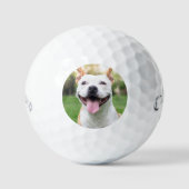 Foto-Vorlagengolfbälle für Haustiere Golfball (Vorderseite)