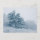 Foto Wald Winter Nature Postkarte (Vorderseite)