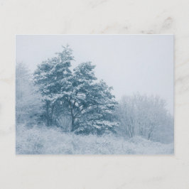 Foto Wald Winter Nature Postkarte