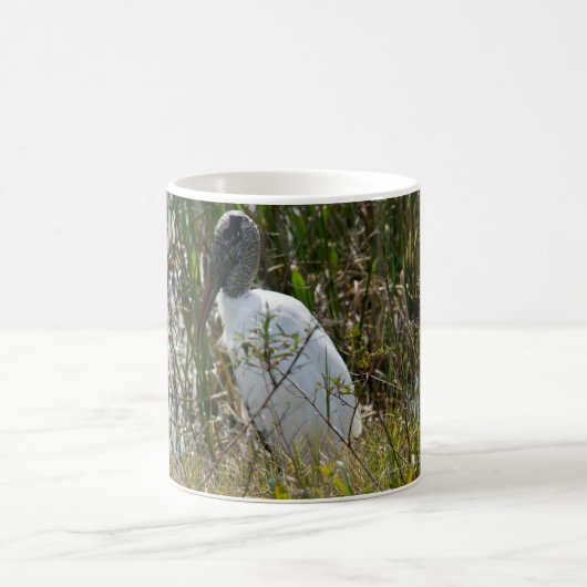 Foto "Waldstorch-Bird Florida Feuchtgebiete" Kaffeetasse (Mittel)
