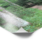 Foto "Waldweg" (Ecke)