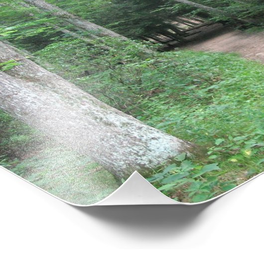 Foto "Waldweg" (Ecke)