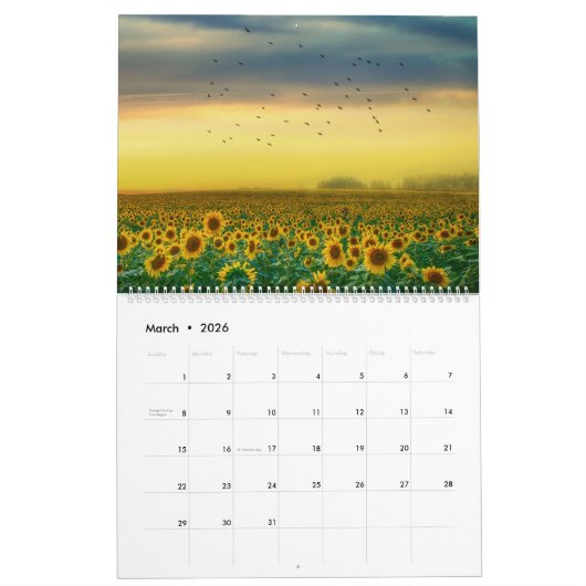 Foto-Wandkalender für Sonnenblumen 2025 Kalender (Mär 2026)