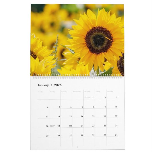Foto-Wandkalender für Sonnenblumen 2025 Kalender (Jan 2026)