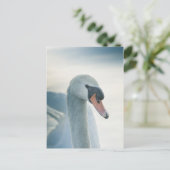 Foto Weiße Schwäne Postkarte (Stehend Vorderseite)