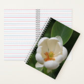 Foto White Magnolia Blume Blüte - Zeitschrift Notizblock (Innen)