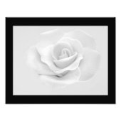 Foto "White Rose" (Vorne)
