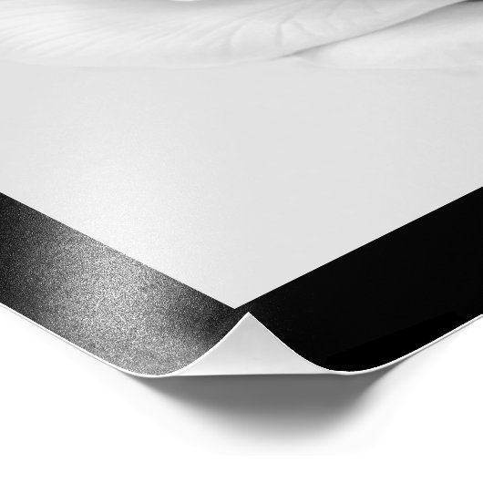 Foto "White Rose" (Ecke)