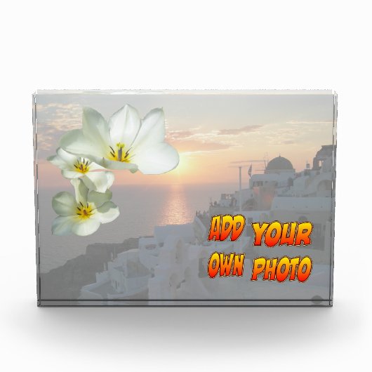 Foto "White Sunny Tulip Blume" (Vorderseite)