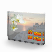 Foto "White Sunny Tulip Blume" (Rechts)