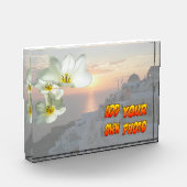 Foto "White Sunny Tulip Blume" (Links)
