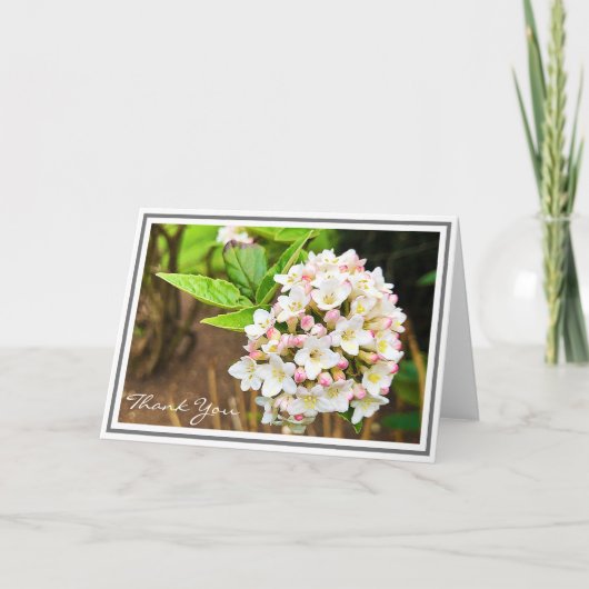 Foto White Viburnum Pink Buds and Green Folies Karte (Vorderseite)