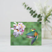 Foto Wildlife Colorful Biene Eater Postkarte (Stehend Vorderseite)