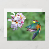 Foto Wildlife Colorful Biene Eater Postkarte (Vorne/Hinten)