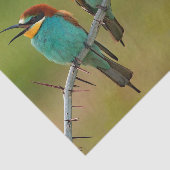 Foto Wildlife Colorful Biene Eater Seidenpapier (Ausschnitt)