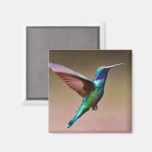 Foto Wildlife Green Hummingbird Magnet (Vorderseite/Rückseite)