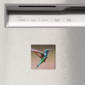 Foto Wildlife Green Hummingbird Magnet (In Situ (Geschirrspüler))